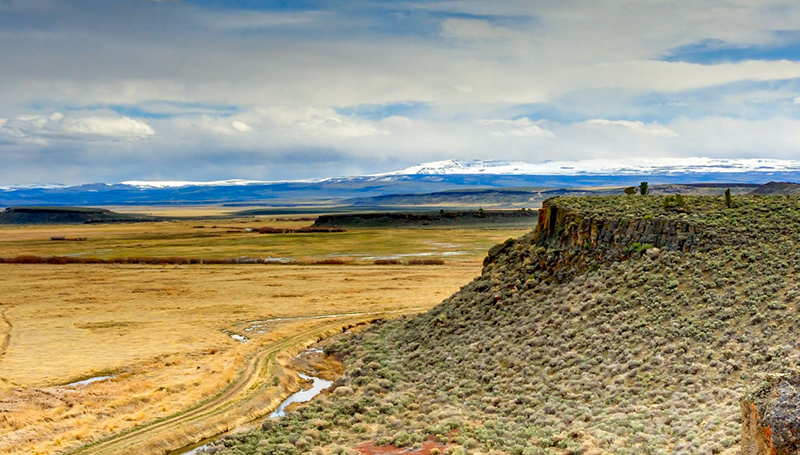 VIEW OF DESERT AND PLAINS